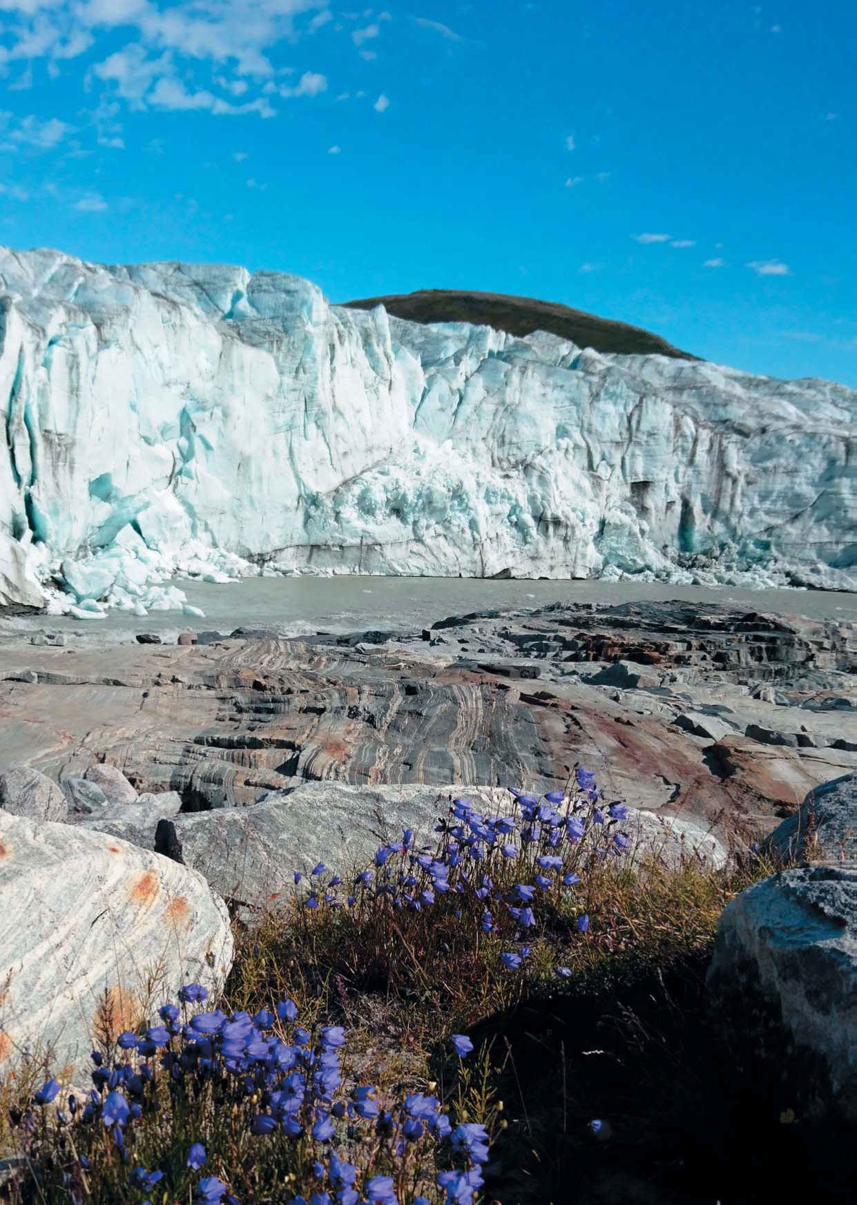 Through the Greenland Ice Stream